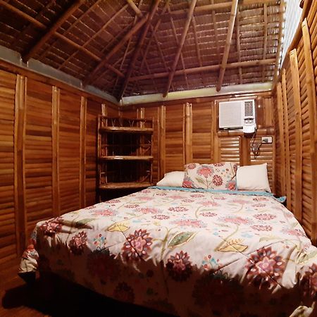 Dang Maria Bed And Breakfast Puerto Princesa Buitenkant foto